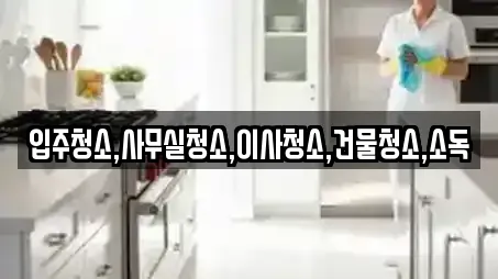 입주청소,사무실청소,이사청소,건물청소,소독
