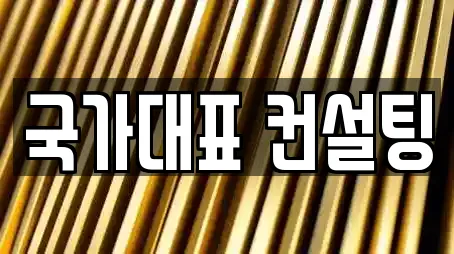 국가대표 컨설팅