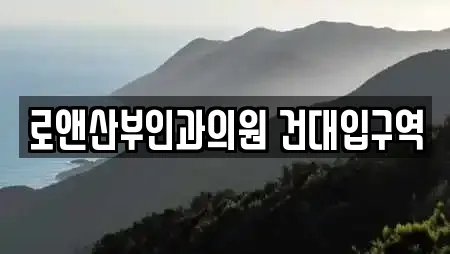 로앤산부인과의원 건대입구역