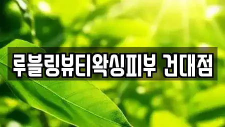 루블링뷰티왁싱피부 건대점