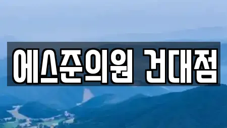 에스준의원 건대점