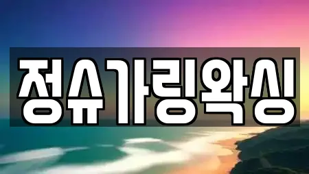 정슈가링왁싱