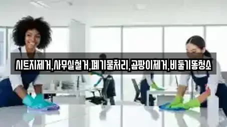 시트지제거,사무실철거,폐기물처리,곰팡이제거,비둘기똥청소