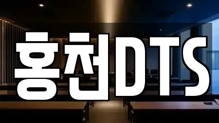 홍천DTS