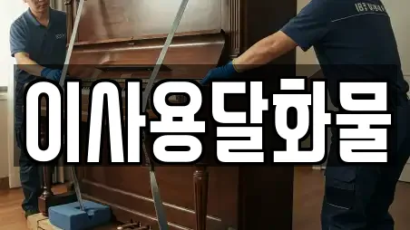 이사용달화물