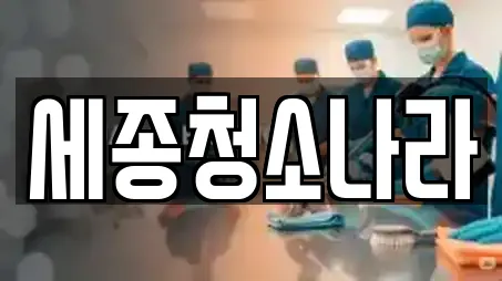 세종청소나라