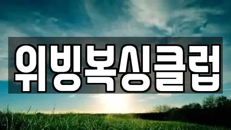 위빙복싱클럽