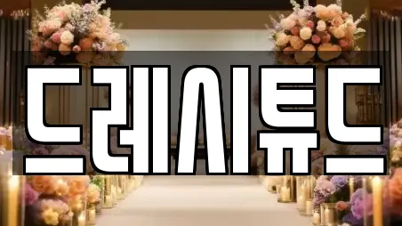 드레시튜드