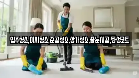 입주청소,이사청소,준공청소,상가청소,줄눈시공,탄성코트