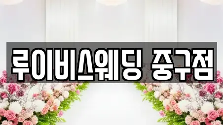 루이비스웨딩 중구점