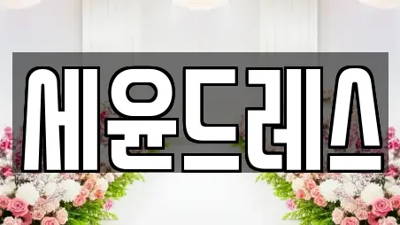 스드메 서울특별시 중구 남창동 베스트 17