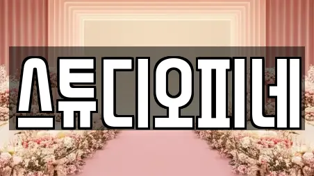 스튜디오피네