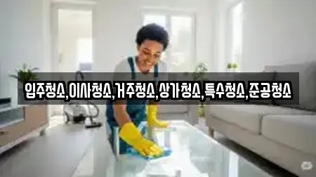 서울특별시 중구 다동 상가청소 모음집 12