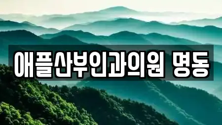 애플산부인과의원 명동