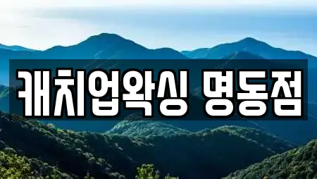 캐치업왁싱 명동점