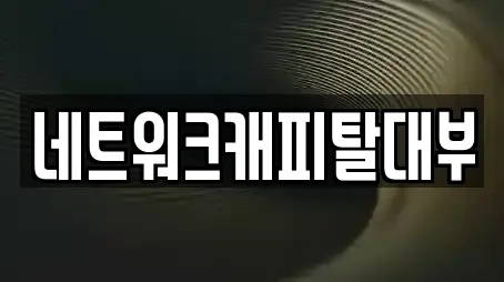 네트워크캐피탈대부