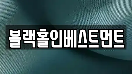 블랙홀인베스트먼트