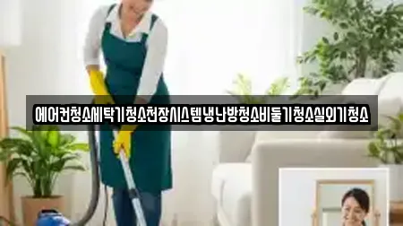 에어컨청소세탁기청소천장시스템냉난방청소비둘기청소실외기청소