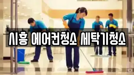 시흥 에어컨청소 세탁기청소