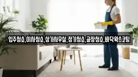 시흥시 죽율동 입주청소 업체 상세정보 16건
