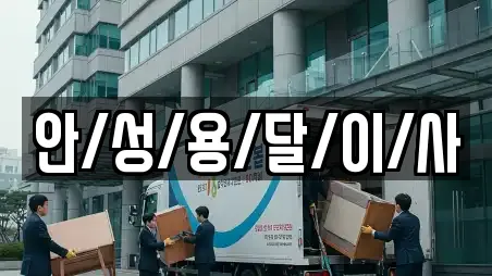 안/성/용/달/이/사