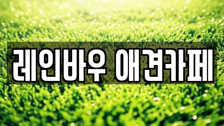 레인바우 애견카페