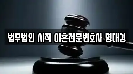 법무법인 시작 이혼전문변호사 명대경