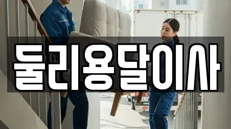 둘리용달이사