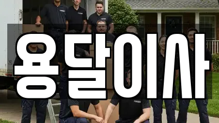용달이사