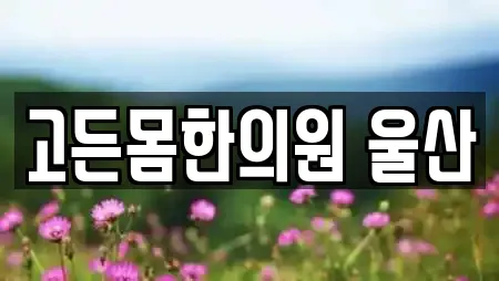 고든몸한의원 울산