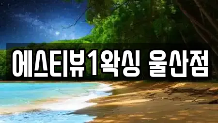 에스티뷰1왁싱 울산점