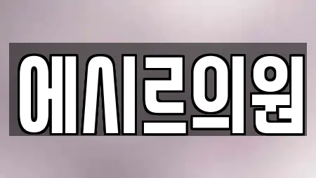 에시르의원