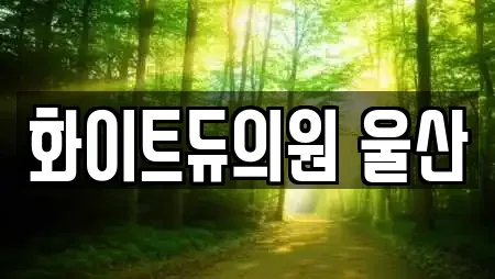 화이트듀의원 울산