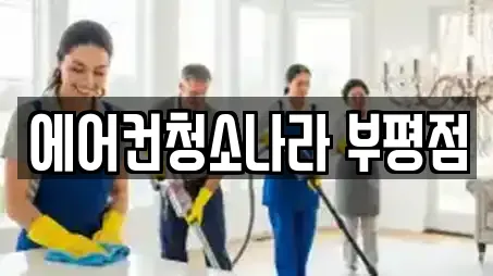 에어컨청소나라 부평점