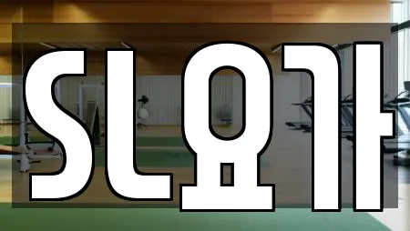 SL요가