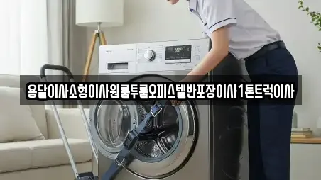 용달이사소형이사원룸투룸오피스텔반포장이사1톤트럭이사