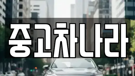 중고차나라
