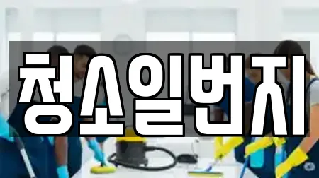 청소일번지