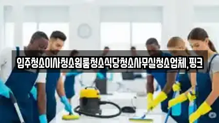 입주청소이사청소원룸청소식당청소사무실청소업체,핑크
