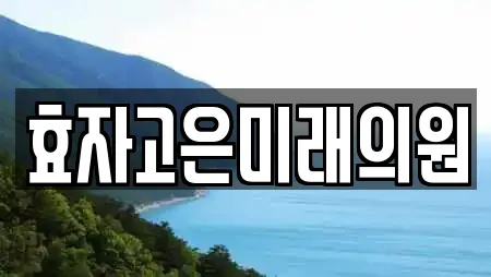 효자고은미래의원