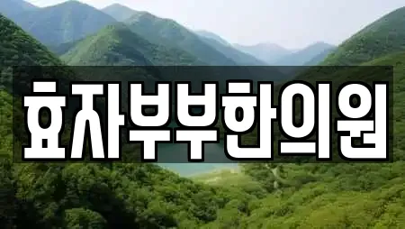 효자부부한의원