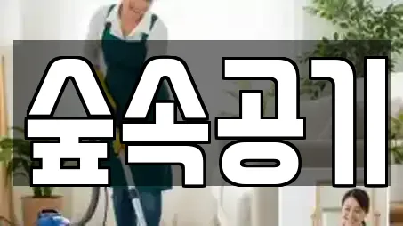 숲속공기