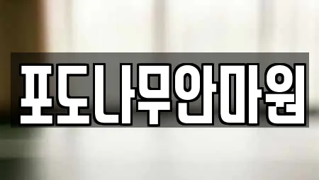 포도나무안마원