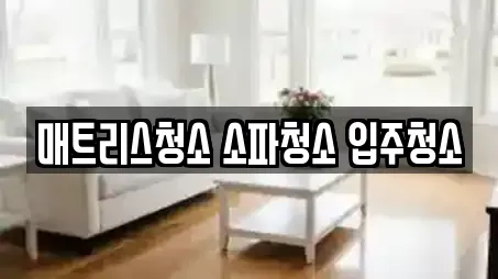 매트리스청소 소파청소 입주청소