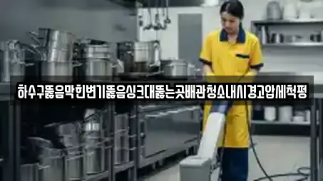 하수구뚫음막힌변기뚫음싱크대뚫는곳배관청소내시경고압세척펑