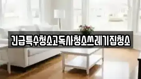 긴급특수청소고독사청소쓰레기집청소