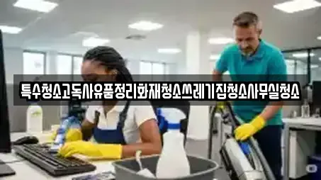 특수청소고독사유품정리화재청소쓰레기집청소사무실청소