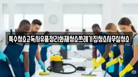 특수청소고독사유품정리화재청소쓰레기집청소사무실청소