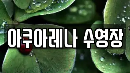아쿠아레나 수영장