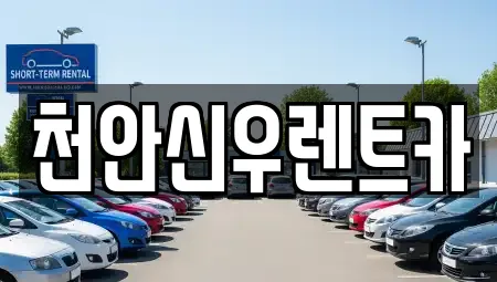 천안신우렌트카